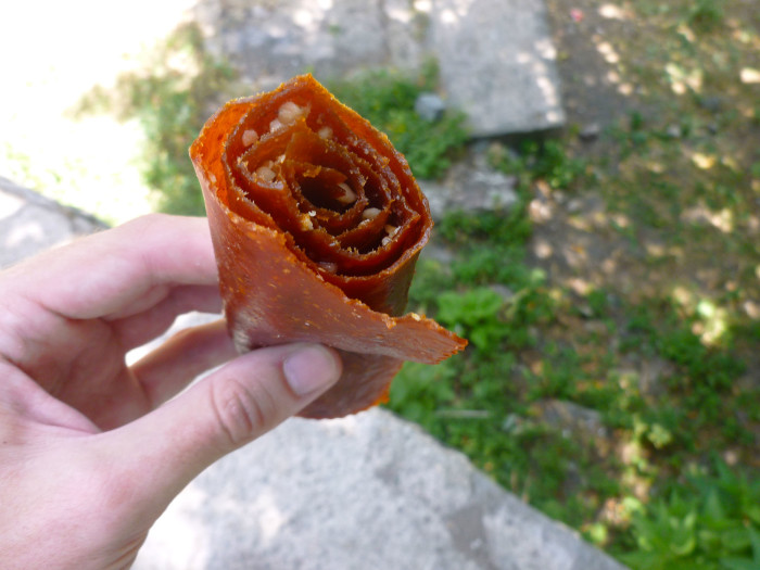 The apricot fruit leather that I bought. It had nuts of some kind in there, and it was really good