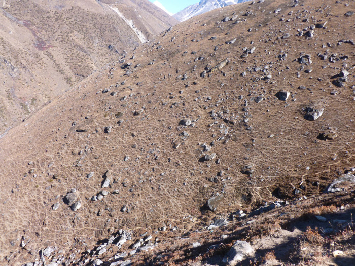 A network of paths on the hillside