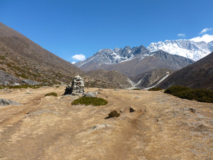 Walking through the tundra-like environment