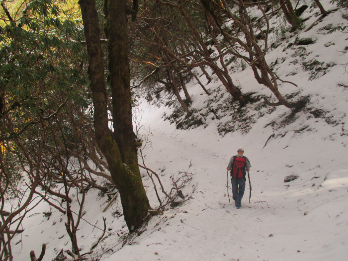 Walking in a winter wonderland.