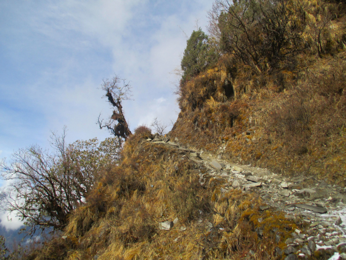 The trail cutting across the mountainside.