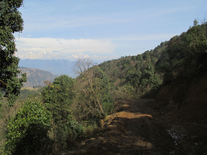 The muddy road that we walked along for a while.