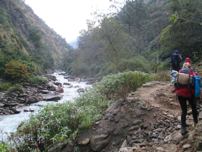 Walking above the Langtang River.