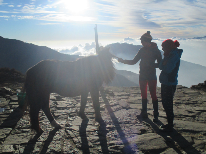 Jo and Sally with a pony.