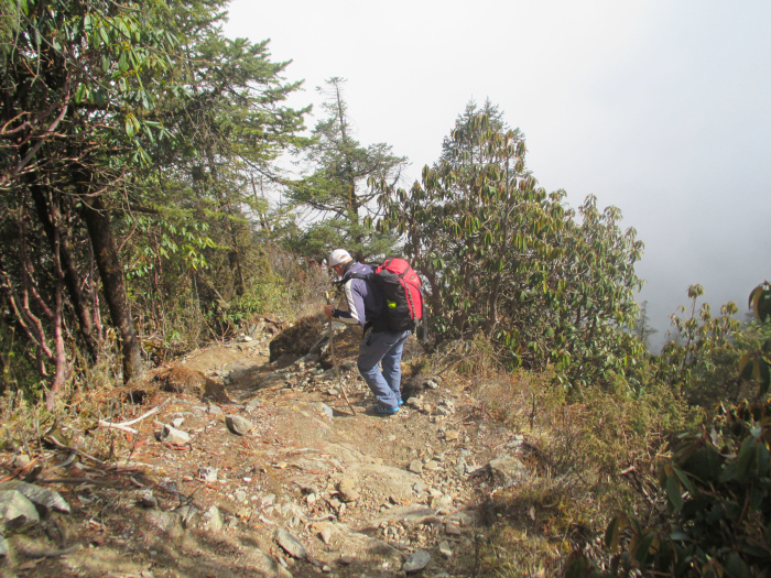 Starting the steep descent from Thadepati to Melamchigaon.