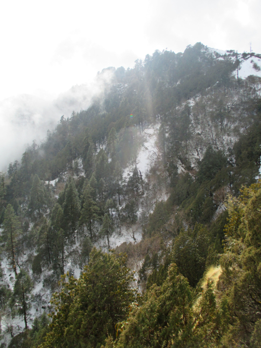 Looking over to the hillside across from us.