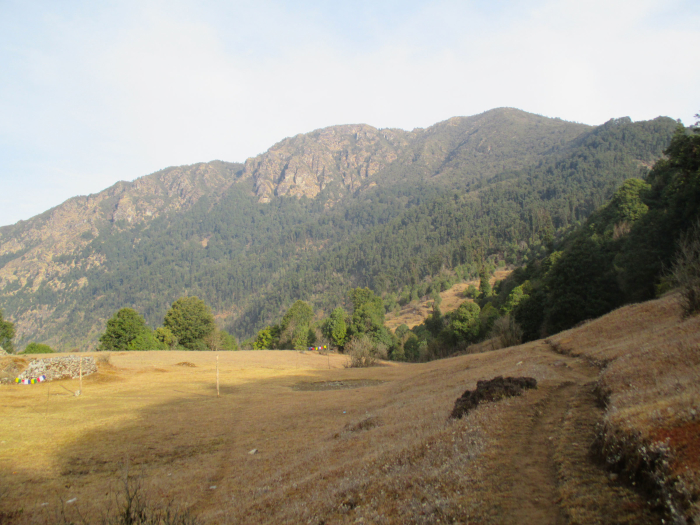 An open meadow area above Kutumsang.