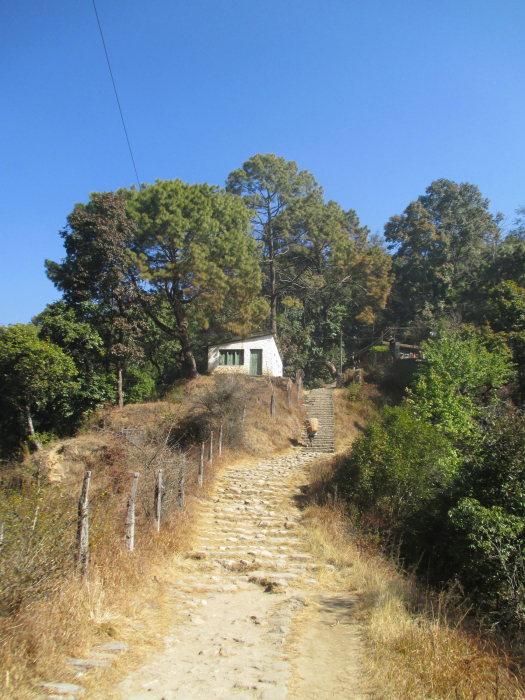 Steps leading uphill.