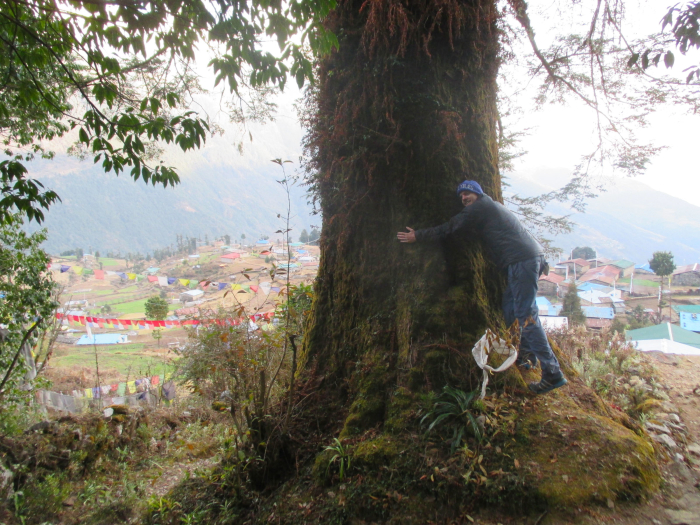 Tree hugger. 