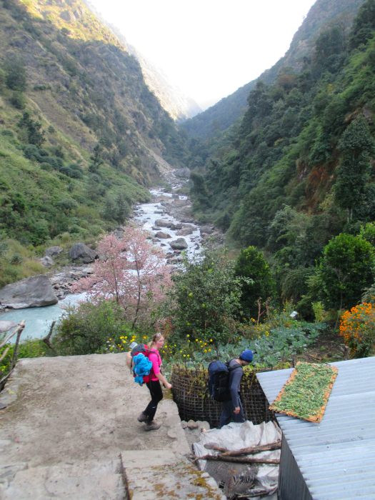 The narrow lower section of the Langtang Valley.
