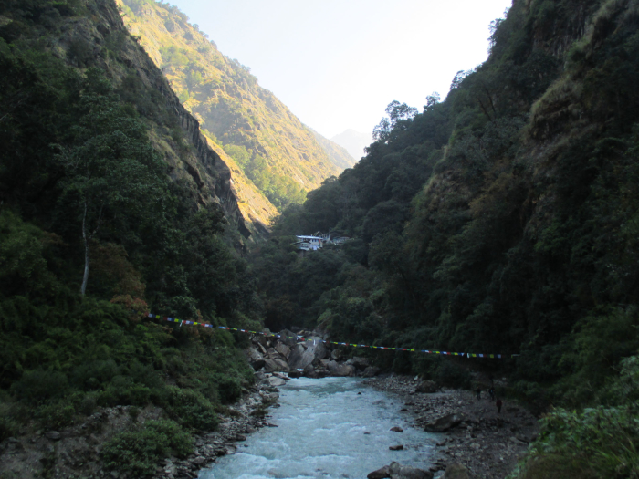 The dark, narrow Langtang Valley.