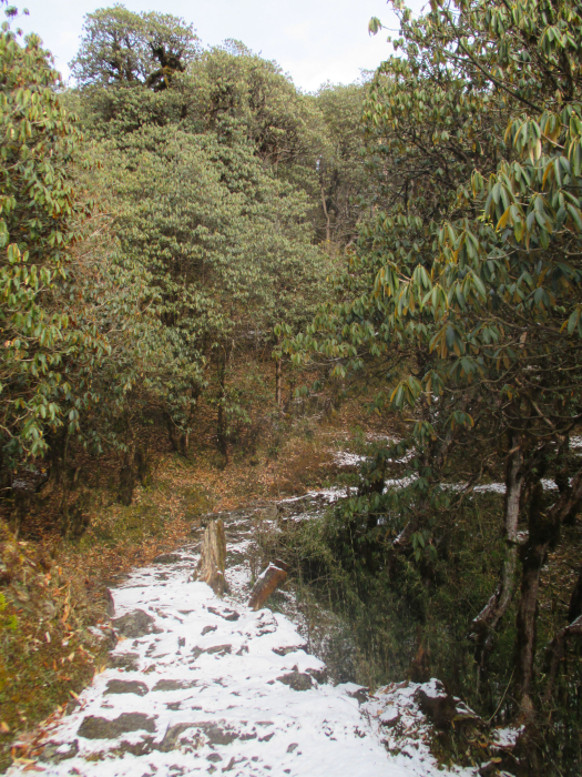 Encountering snow on the trail.